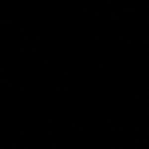 Meet your Posher, Angelica